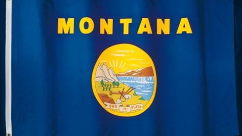 The Montana flag with the word MONTANA on blue material with yellow and multicolor scenic view seal in the middle