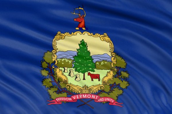 Vermont flag with the blue material rippled and the words FREEDOM VERMONT AND UNITY visible 