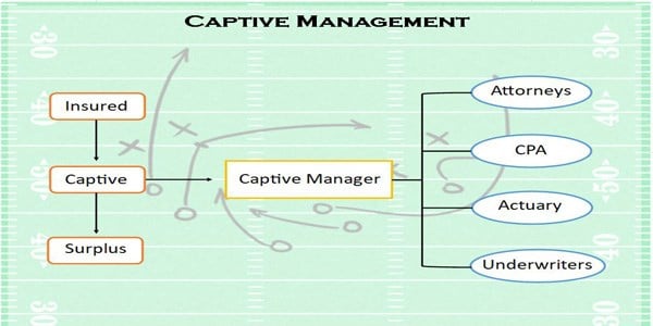 Captive Management game plan