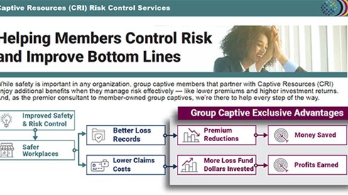 Graphic Flowchart - Helping Members Control Risk and Improve Bottom Lines - Captive Resources