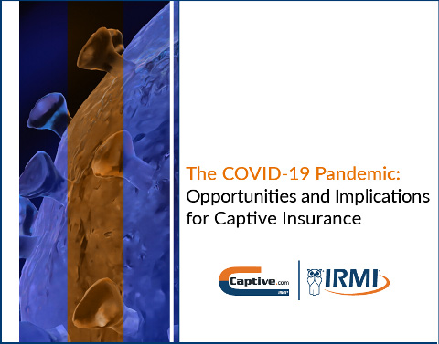 White paper: The COVID-19 Pandemic