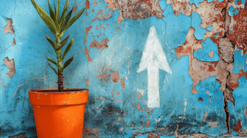 Houseplant in an orange pot against a wall with light blue peeling paint that has an arrow pointed up, which is drawn with chalk