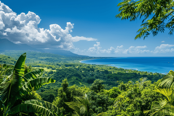 Bird's eye view of a Jamaican forest and coastline