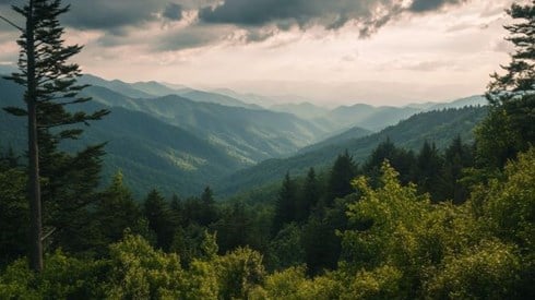 Great Smoky Mountains in North Carolina