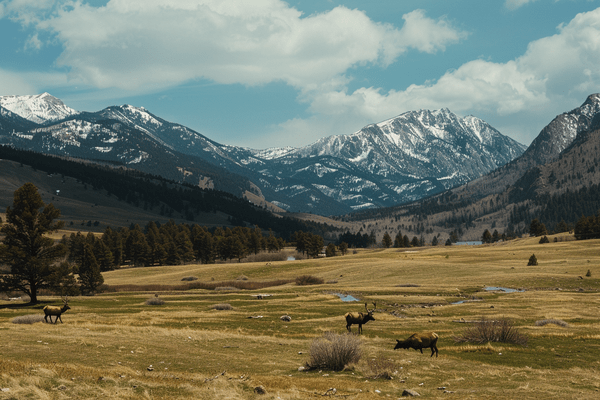 A herd of elk in a green meadow with mountains against a blue sky in the background