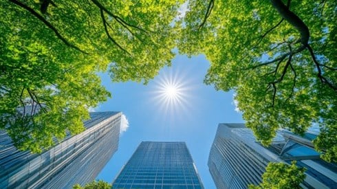 view from below of tall office buildings with trees and sun
