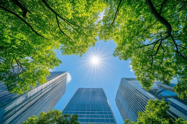view from below of tall office buildings with trees and sun