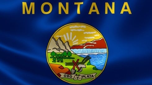 Montana State Flag